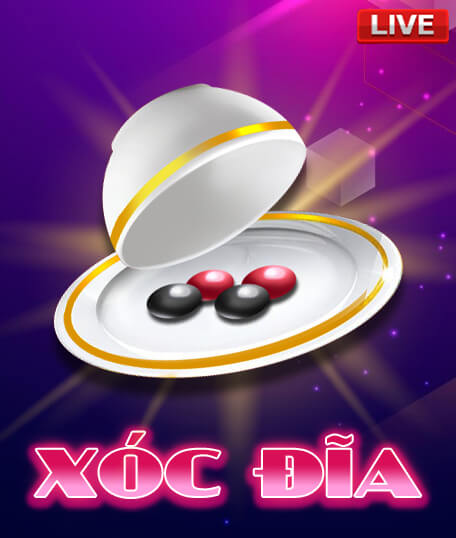 Banner-rongho99-right-1-Xóc đĩa