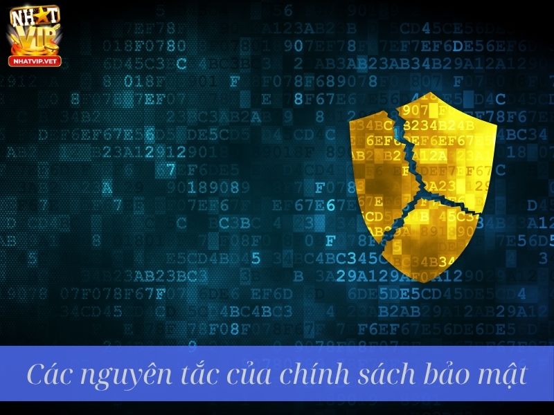Các nguyên tắc của chính sách bảo mật Các nguyên tắc của chính sách bảo mật
