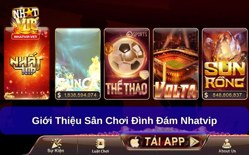 Giới Thiệu Nhatvip - Cổng Game Vui Nhộn, Sôi Động Nhất 2025 1 Giới thiệu Nhatvip chi tiết